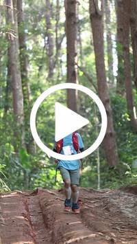 BIB:  <button type="button" onclick="openModal(26569756)" class="btn btn-primary btn-sm float-right" data-toggle="modal" data-target=".modal-high-quality">
                <i class="fa fa-download"></i> Download
                </button>